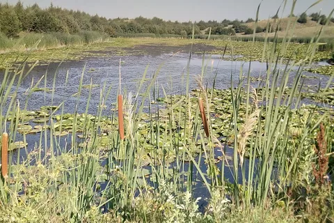 Nunda Shoal - Calamus Reservoir State Recreation Area