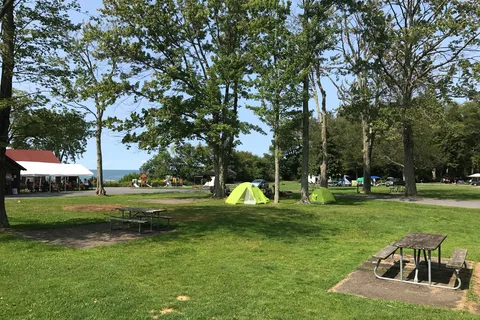 Selkirk Shores State Park