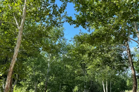 Yeager Creek RV Resort