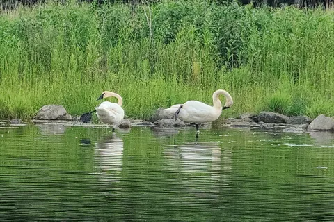 Viking Lake State Park