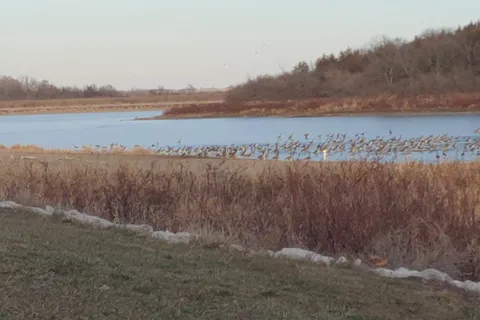 Viking Lake State Park