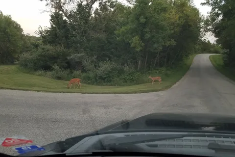 Viking Lake State Park