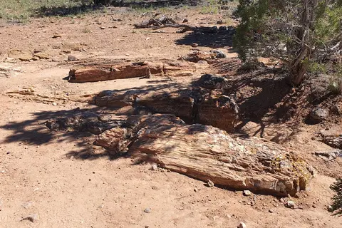Escalante Petrified Forest State Park