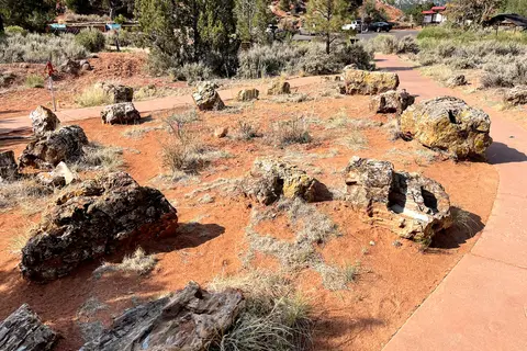 Escalante Petrified Forest State Park