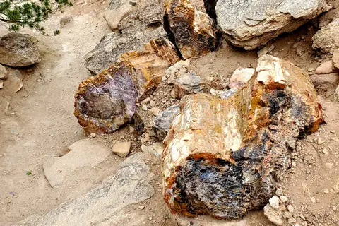 Escalante Petrified Forest State Park