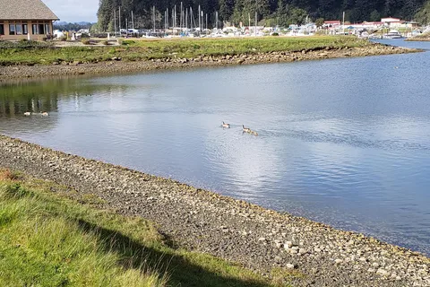 Winchester Bay RV Resort