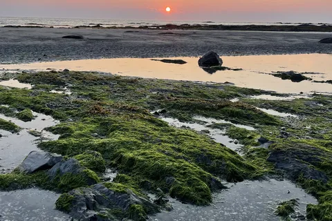 Camping Au Bord De La Mer