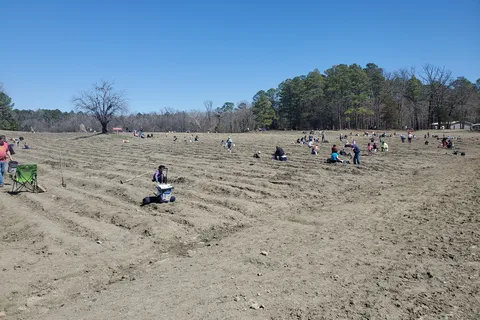 Crater Of Diamonds State Park