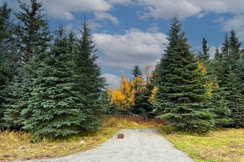 Blue Spruce Campground
