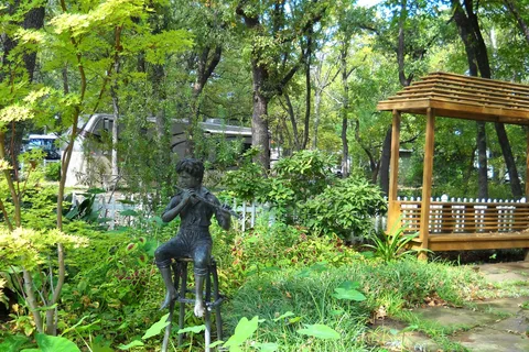 Treetops RV Resort