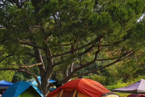 Bonelli Bluffs RV Resort and Campground