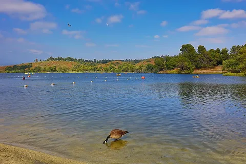 Bonelli Bluffs RV Resort and Campground