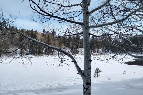 Lake A-1 Apache Indian Res