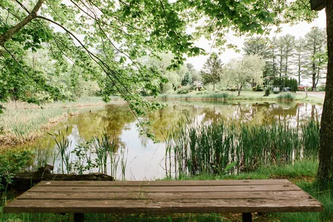 Wild Duck Adult Campground and RV Park