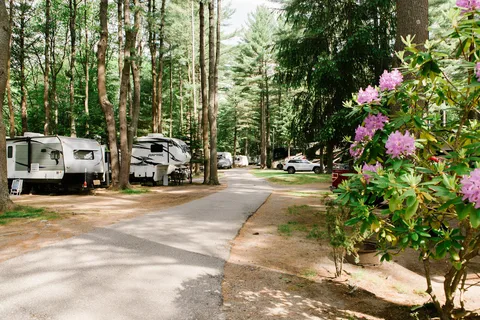 Wild Duck Adult Campground and RV Park
