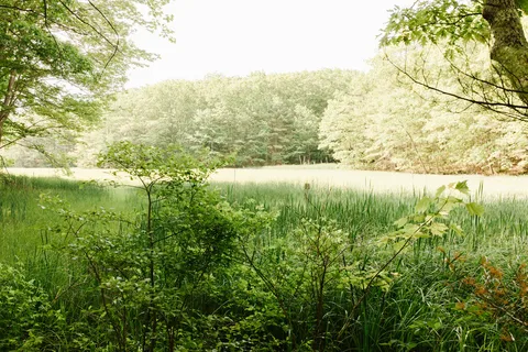 Wild Duck Adult Campground and RV Park