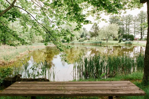 Wild Duck Adult Campground and RV Park