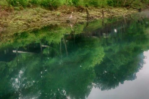 Red River Trout Dock