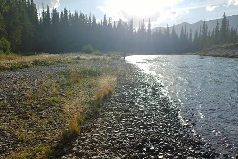 Willow Rock - Bow Valley Provincial Park