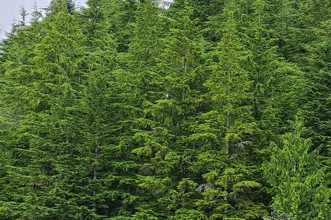 Snag Lake - Department of Natural Resources