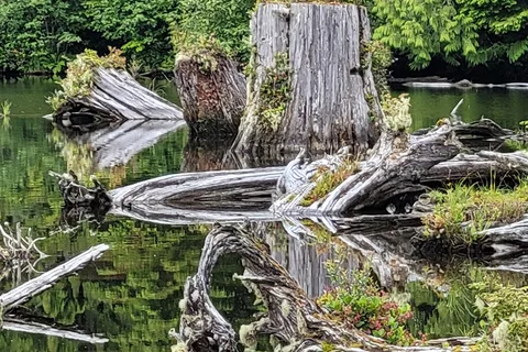 Snag Lake - Department of Natural Resources