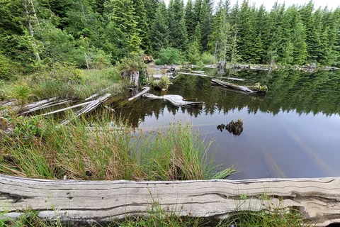 Snag Lake - Department of Natural Resources