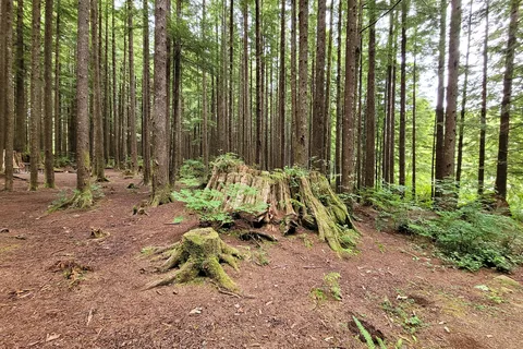 Snag Lake - Department of Natural Resources