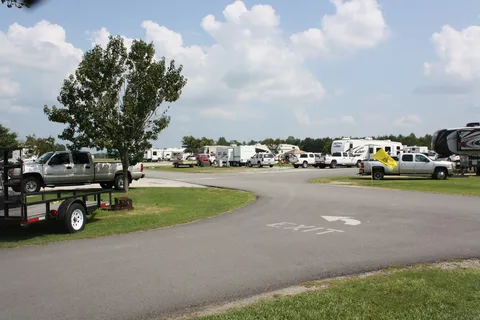 Yogi Bear’s Jellystone Park™ Camp-Resort: Daddy Joe's
