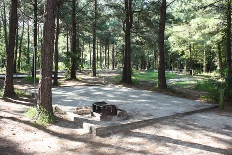Yogi Bear’s Jellystone Park™ Camp-Resort: Daddy Joe's