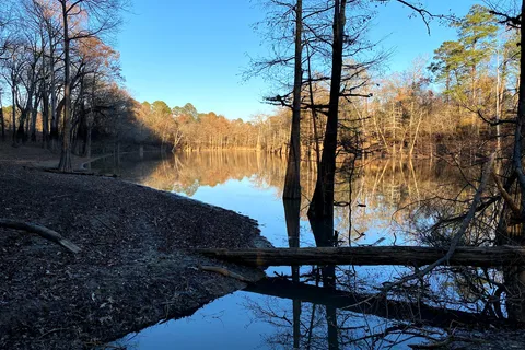 Moro Bay State Park