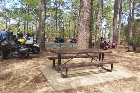 Moro Bay State Park