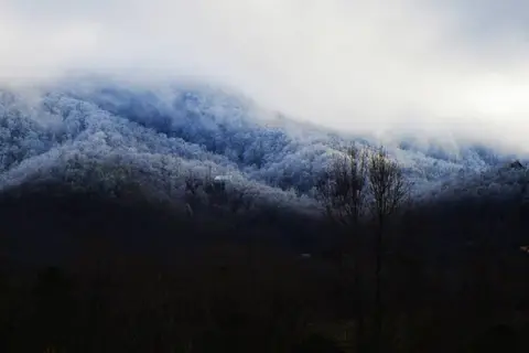 Honeysuckle Meadows RV Park