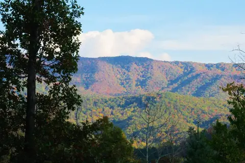 Honeysuckle Meadows RV Park