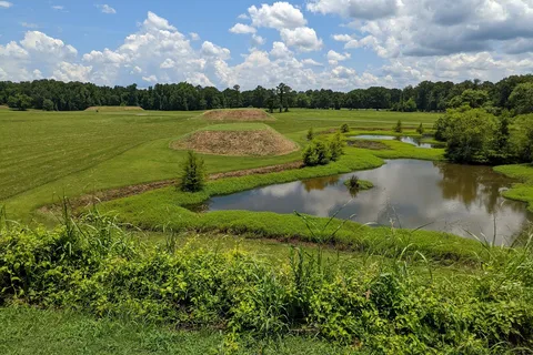 Moundville Archaeological Park Univ of Alabama