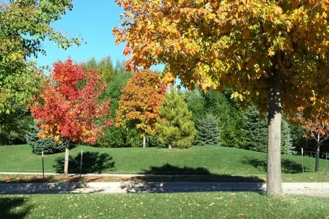 Crystal Springs RV Resort