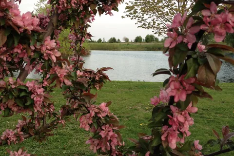 Crystal Springs RV Resort