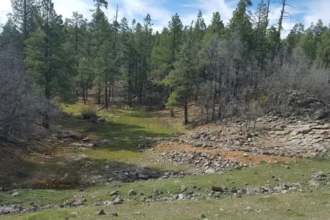 Cooley Lake Apache Indian Res