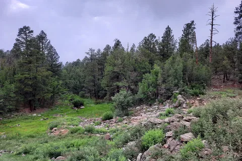 Cooley Lake Apache Indian Res