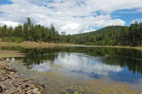 Cooley Lake Apache Indian Res