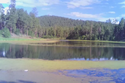Cooley Lake Apache Indian Res
