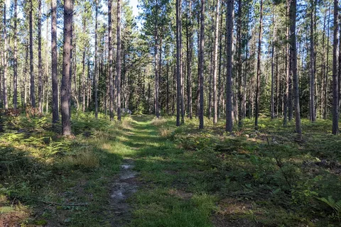 Hayes Lake State Park