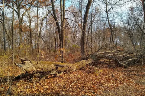 Delabar State Park