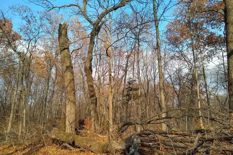Delabar State Park