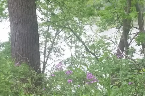 Delabar State Park