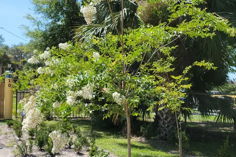 Port Cove RV Resort