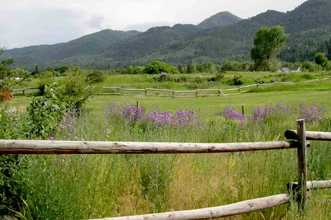 Palisades Cabins and RV