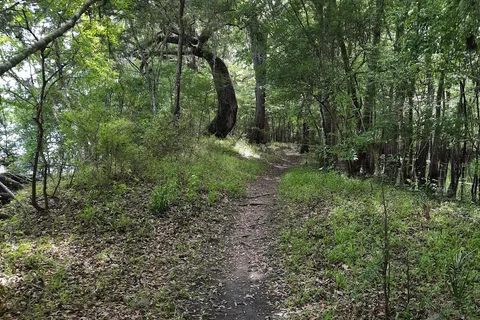 Suwannee River Hideaway