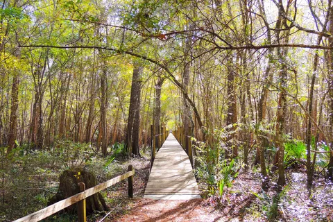 Suwannee River Hideaway