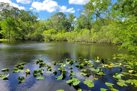 Suwannee River Hideaway