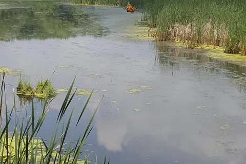 Lake Kegonsa State Park